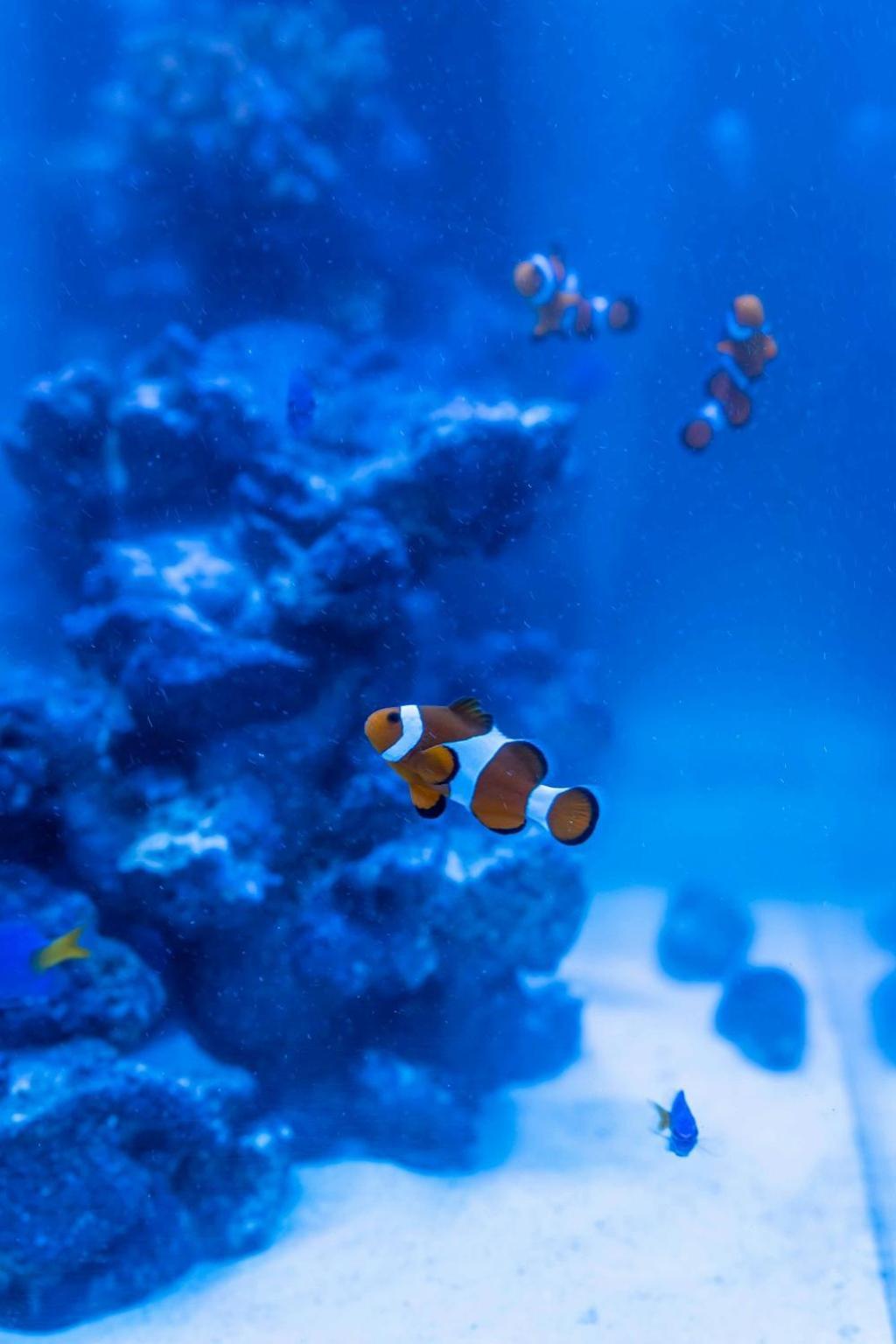 Japavista Aqua Villa Osaka Dış mekan fotoğraf