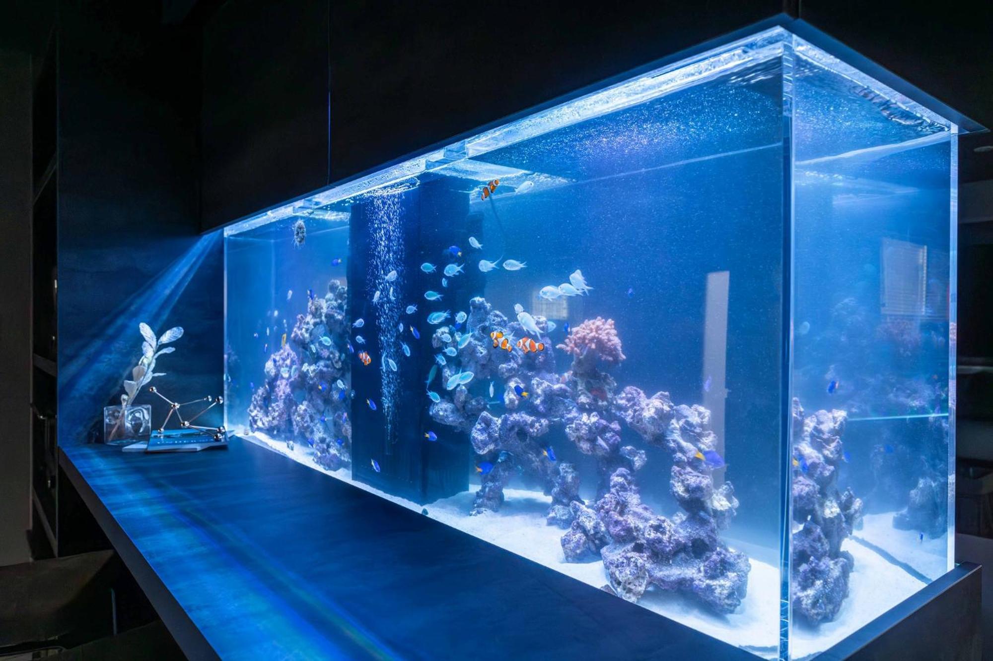 Japavista Aqua Villa Osaka Dış mekan fotoğraf